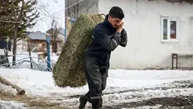 Eski muhtarın devletten aldığı destekle tarımda başarı hikayesi yazdı