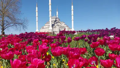 Trabzon'da 2025'te 1 milyon 620 bin çiçek ve 1.300 ağaçla yeşil alan artırıldı!