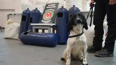 Sınırda İki Uyuşturucu Operasyonu: Toplam 35 Kilo Skunk Ele Geçirildi