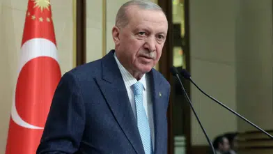 Erdoğan'dan Nevruz mesajı: Barış ve kardeşliğe vurgu yaptı