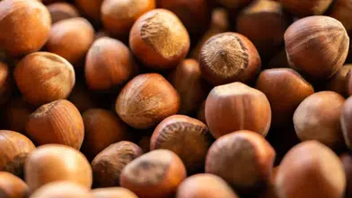 Fındık ihracatında 6 aylık gelir 1,17 milyar doları aştı