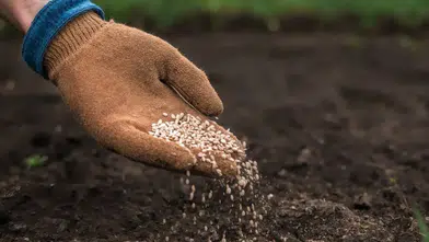 Gübre arzında sorun yok, yetkililer halkı dezenformasyona karşı uyardı
