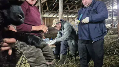 Ortahisar’da Hayvan Sağlığı İçin Aşılama Çalışmaları Sürüyor