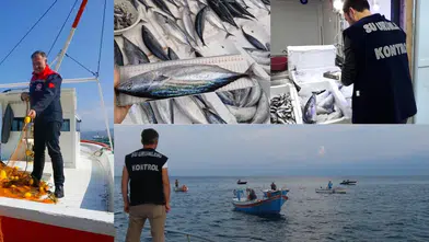 Palamut ve Torik Av Yasağıyla Denetimler Artırıldı