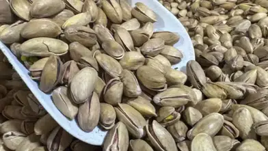 Dünya Genelinden 94 Ülke Anadolu'nun Yeşil Altını İçin Sıra Bekliyor!