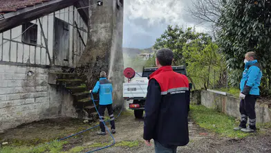 Arsin’de Kahverengi Kokarca ile Mücadele Sürüyor