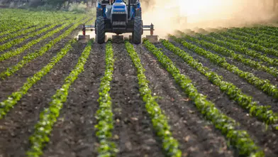 Tarımda Müjde: Yağışlar, 38 Yılın En Yüksek Seviyesine Ulaştı!