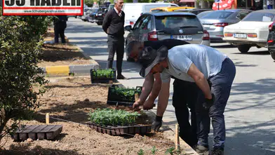 Arhavi’de Peyzaj Seferberliği: Cadde ve Meydanlar Çiçeklerle Renklendi