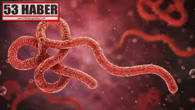 Aşısı ve Tedavisi Yok! Nadir Görülen Ebola Varyantı Hızla Yayılıyor: Can Kaybı Artıyor
