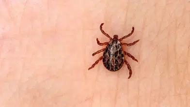 Tokat’ta 8 kişiye KKKA teşhisi: Tedavileri sürüyor