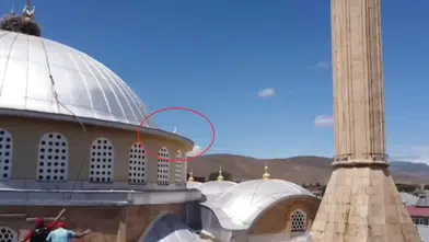 Bayburt'ta Yuvadan Uzakta Kalan Yavru Leylek İçin Kurtarma Çalışmaları Başlatıldı!