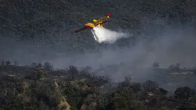 Orman yangını çıkaran 59 kişi gözaltına alındı