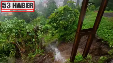 Rize’de Şiddetli Yağış Sonrası 5 İlçede 61 Farklı Noktada Heyelan Meydana Geldi