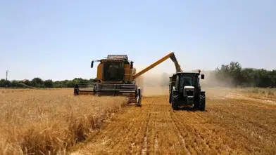 Kuraklık vurmuştu, bu yıl tablo değişti