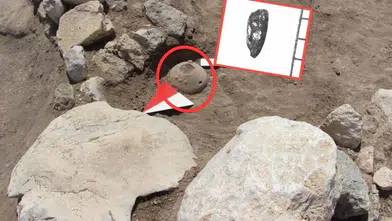 Dünyada sadece Gölbaşı'nda yetişiyor! 4 bin yıllık Hitit kabında eşsiz buluntu
