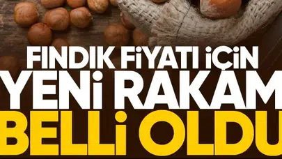 Fındık fiyatı için yeni tahmin belli oldu!