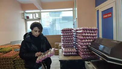 Trabzon’da Yumurta Paketleme Tesislerinde Gıda Güvenliği Denetimi