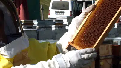 Rizeli Bal Üreticilerinden Önemli Uyarı: Sahte Bala Dikkat, Güvendiğiniz Markalardan Alışveriş Yapın