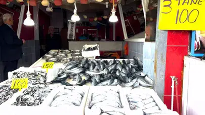 Doğu Karadeniz'de 20 yılın rekor palamut bereketi