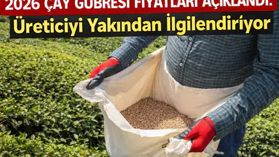2026 Çay Gübresi Fiyatları Açıklandı: Üreticiyi Yakından İlgilendiriyor