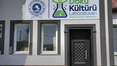 Samsun'a Özel Bitki Doku Kültürü Laboratuvarı Kuruluyor!