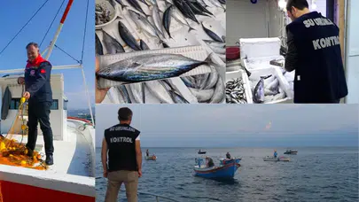 Palamut ve Torik Av Yasağıyla Denetimler Artırıldı