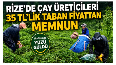 Rize’de Çay Üreticileri 35 TL’lik Taban Fiyattan Memnun