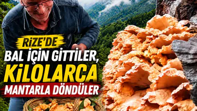 Rize'de Bal İçin Gittiler, Kilolarca Mantarla Döndüler