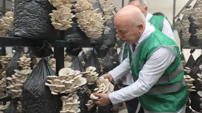 Erzurum’da İstiridye Mantarı Pilot Üretim Tesisi Hizmete Açıldı