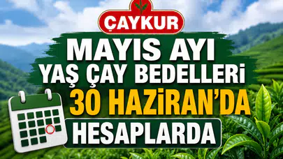 Mayıs Ayı Yaş Çay Bedelleri 30 Haziran'da Hesaplarda