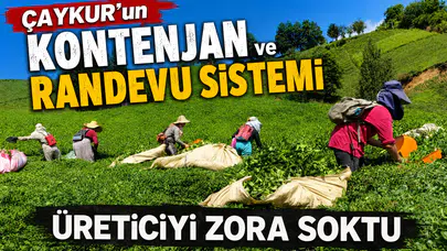 ÇAYKUR’un Kontenjan ve Randevu Sistemi Üreticiyi Zora Soktu