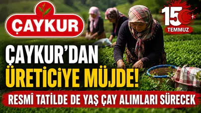 ÇAYKUR'dan Üreticiye 15 Temmuz Müjdesi! Resmî Tatilde de Yaş Çay Alımları Sürecek