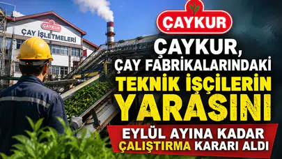 Çaykur, Çay Fabrikalarındaki Teknik İşçilerin Yarasını Eylül Ayına Kadar Çalıştırma Kararı Aldı