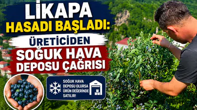 Likapa Hasadı Başladı: Üreticiden Soğuk Hava Deposu Çağrısı