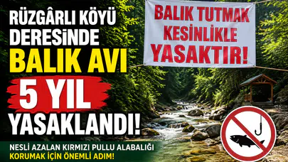 Rüzgârlı Köyü Deresinde Balık Avı 5 Yıl Yasaklandı