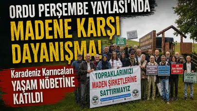 Ordu Perşembe Yaylası'nda Madene Karşı Dayanışma: Karadeniz Karıncaları Yaşam Nöbetine Katıldı