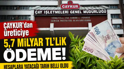 ÇAYKUR’dan Üreticiye 5,7 Milyar TL’lik Ödeme! Hesaplara Yatacağı Tarih Belli Oldu