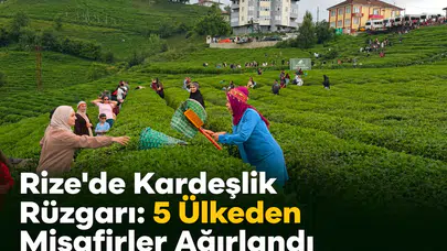 Rize’de Kardeşlik Rüzgârı: 5 Ülkeden Gelen Gençler Çay Topladı