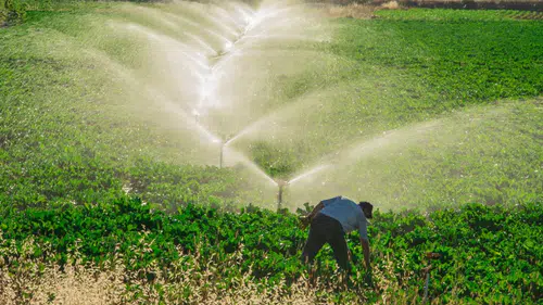 Aydıntepe Erikdibi Göleti Sulama İnşaatı Sürüyor