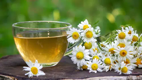 Antidepresan Yerine Bitki Çayı: Uykuya Dalmanın Kolay Yolu!