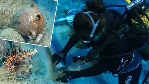 Akdeniz'den 4 bin yıllık tarih çıktı! Dünyanın en eski batığı Kekova'da bulundu