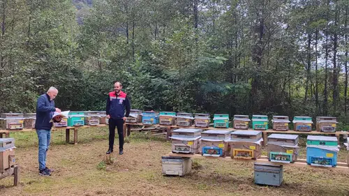 Trabzon Sürmene’de Arılı Kovan Desteği İçin Saha Kontrolleri Yapılıyor