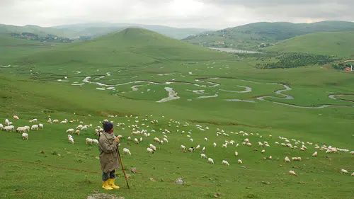 Handüzü Yaylası’nda Mera Alarmı: Yaklaşık 1.000 Hane Mağdur Olabilir