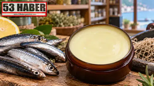 Rize'de Balıkların Güzelliği Hamsi ile Cilt Kremi Üretimi Başladı!