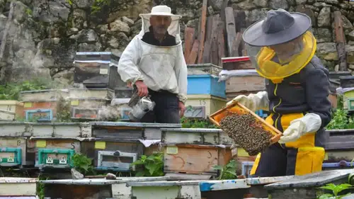 Artvin’de arı ve bal turizmi için yeni rota çalışması