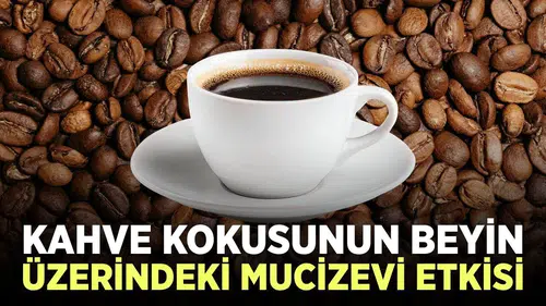 Beynin Üzerindeki Etkileri: Ayrıntılar Burada!