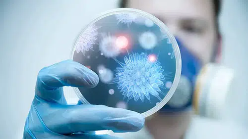 Gündemdeki konu Felç: nedir?
