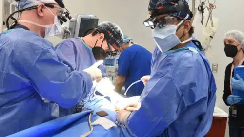 Organ naklinde yeni araştırma: Yaşlı kalpler gençleşebiliyor