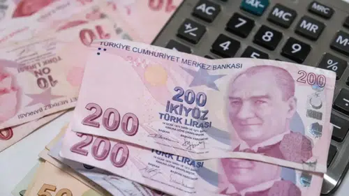 Reel efektif döviz kuru endeksi eylülde 105,45 oldu
