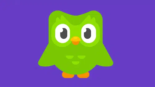 Duolingo Promosyon Kodu 2026 Şubat Güncel